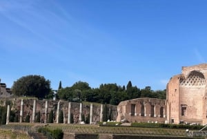 Rom: Bevorzugter Zugang zum Kolosseum, Forum Romanum und Palatin Tour