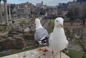 Rooma: Autonkuljettaja: Yksityinen 3-tuntinen kiertoajelu.