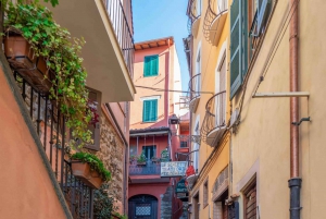 Rome : excursion privée de 6 heures avec chauffeur, Castelli Romani et lacs