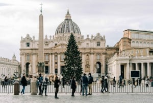 Rome : visite privée à pied de Noël avec un guide de la région