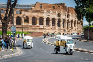 Rom: Privat stadsrundtur med elektrisk Tuk Tuk