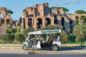 Rom: Privat stadsrundtur med elektrisk Tuk Tuk