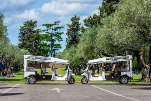 Rom: Privat stadsrundtur med elektrisk Tuk Tuk
