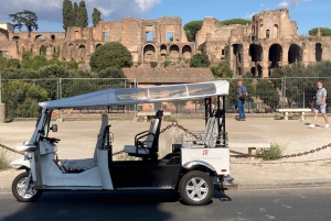 Rom: Privat stadsrundtur med elektrisk Tuk Tuk