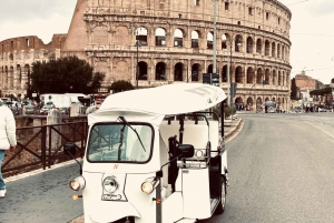 Rom: Privat stadsrundtur med elektrisk Tuk Tuk