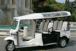 Rom: Privat stadsrundtur med elektrisk Tuk Tuk