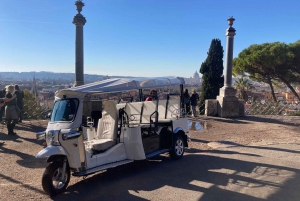 Rom: Privat stadsrundtur med elektrisk Tuk Tuk