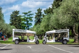 Rome: privérondleiding door de stad per elektrische tuktuk