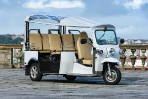 Rome: privérondleiding door de stad per elektrische tuktuk