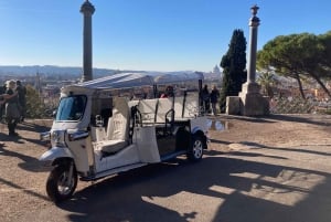 Rome: privérondleiding door de stad per elektrische tuktuk