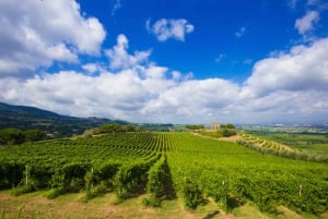 Rome: Private Countryside Wine Tasting Tour