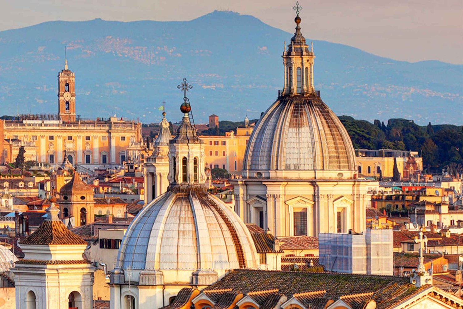 ローマ:プライベート交通機関付きのプライベート 1 日ツアー