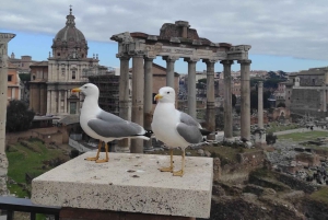 ローマ：ゴルフカートで行くプライベート観光ツアー