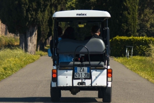 Yksityinen golfkärrykierros Roomassa, sisältää noudon hotellilta