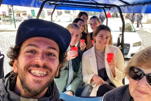 Rzym: wycieczka prywatna wózkiem golfowym z lokalnymi i rzemieślniczymi lodami