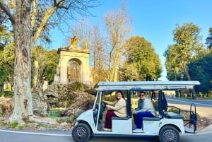 Rome: Private Guided City Highlights Tour by Golf Cart