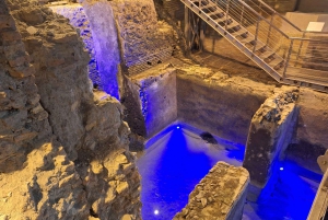 Rome: Private tour of Underground Rome