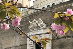 Rome: Private Tour of Vatican Museums and Sistine Chapel.