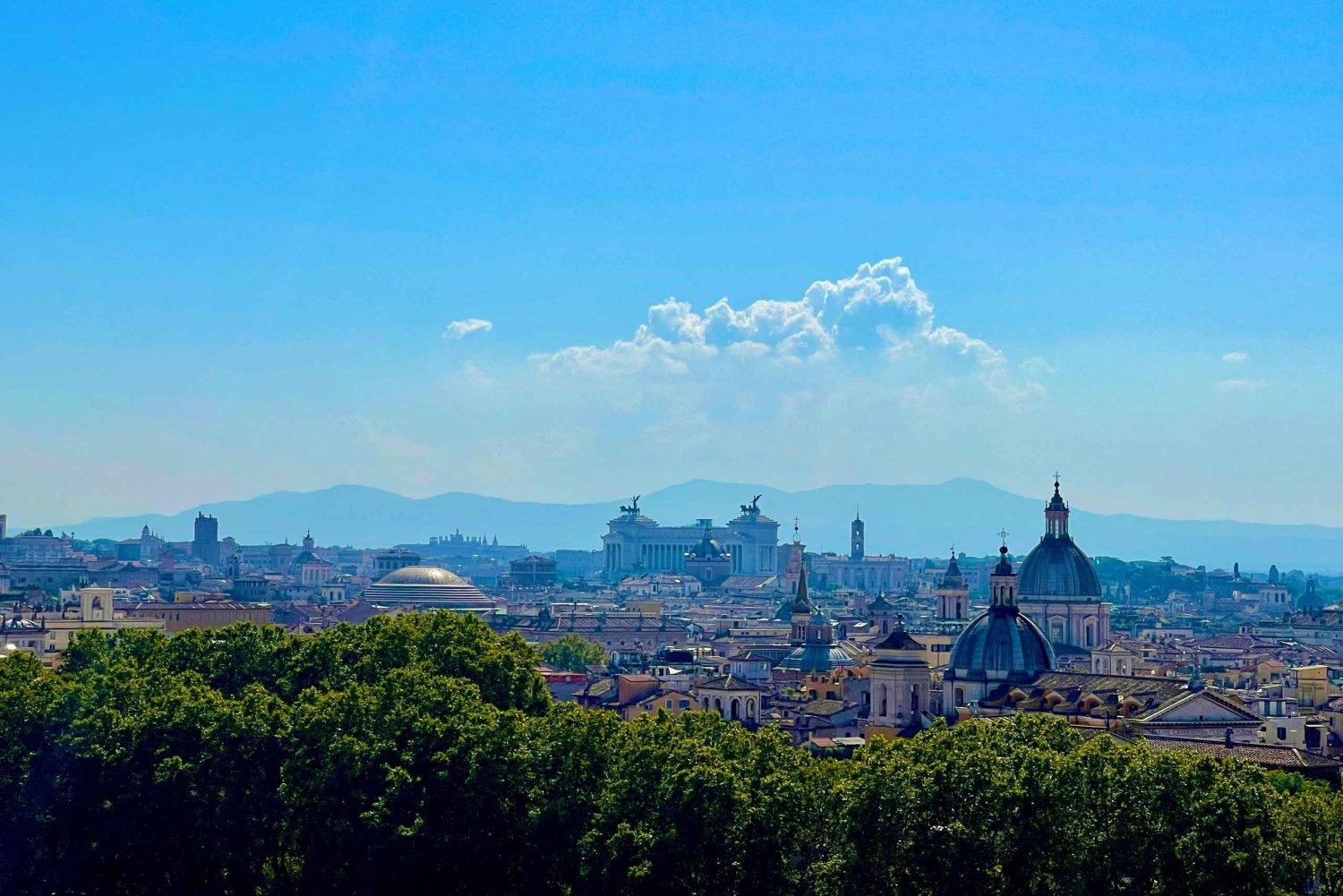 Rome: Private Tour with Hotel Pickup and Drop-Off