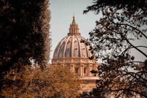 Tur til Vatikanmuseerne, Det Sixtinske Kapel og Peterskirken