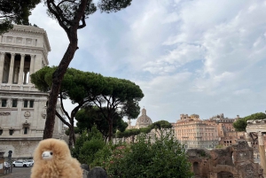 Rom: Privat byvandring med en guide