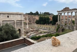 Rom: Privat byvandring med en guide