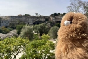 Rom: Privat byvandring med en guide