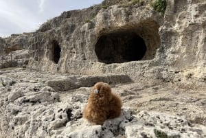 Rom: Privat byvandring med en guide