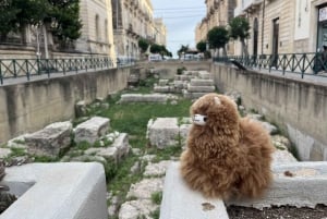 Rom: Privat byvandring med en guide