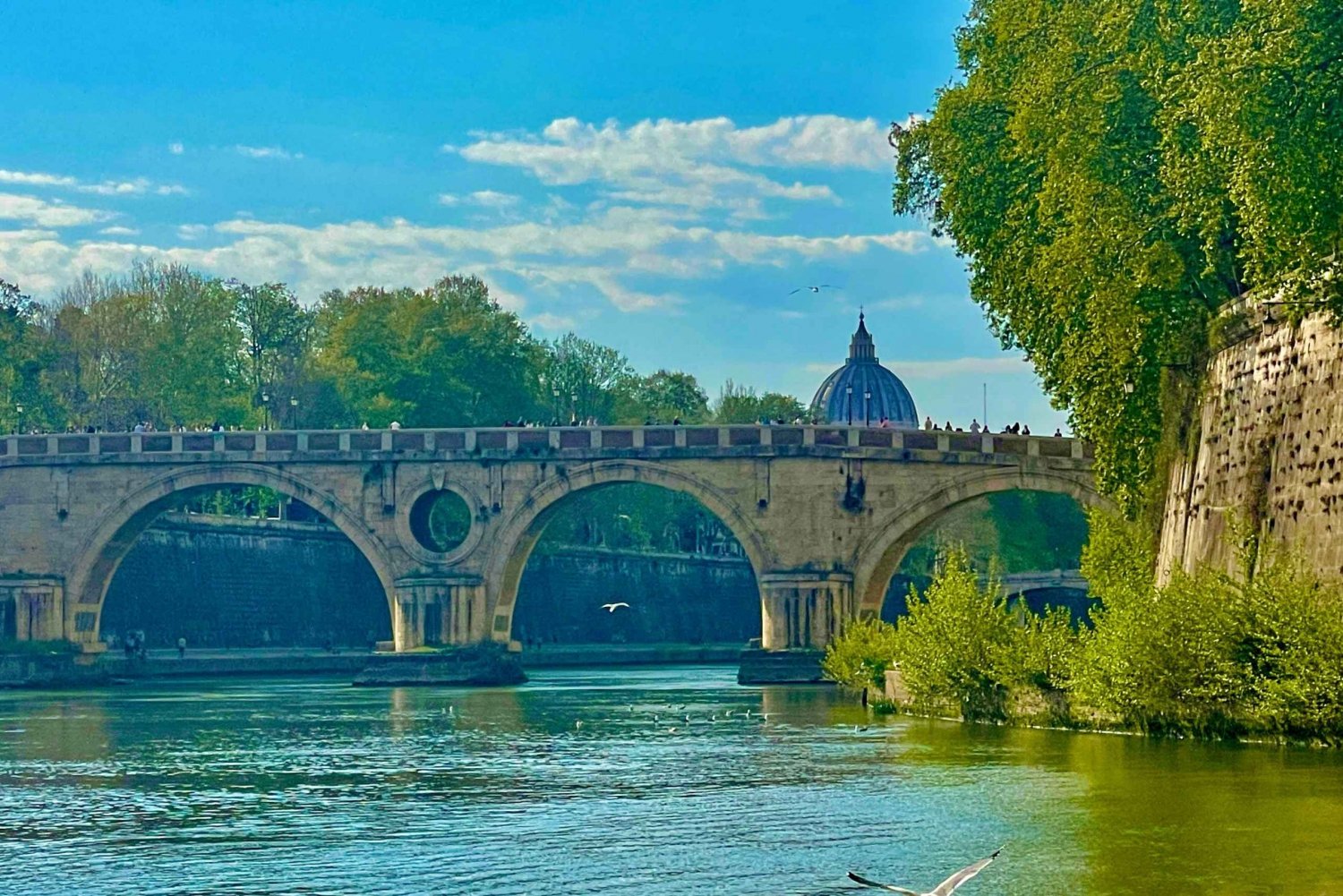 Rome Squares and Fountains Tour & River Boat Hop On Hop Off