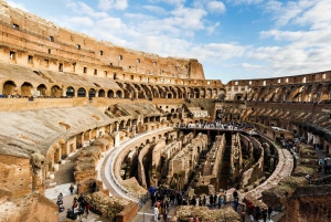 Rome: Roman Forum and Colosseum Underground Exclusive Tour