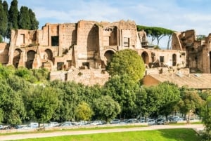 Rooma: Forum Romanum ja Palatiumin kukkula – sisäänpääsy ja SuperSites-passi