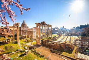 Rom: Forum Romanum Forum Romanum och Palatinkullen Licensierad guidad tur