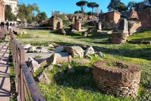 Rom: Forum Romanum Forum Romanum och Palatinkullen Licensierad guidad tur