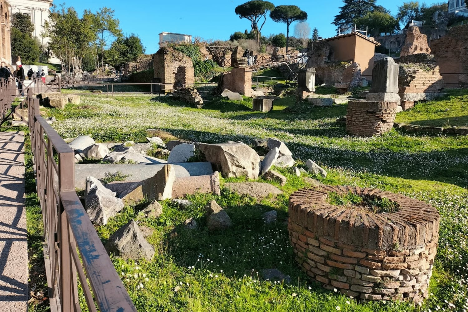 Rome : visite privative du Forum romain et du Mont Palatin
