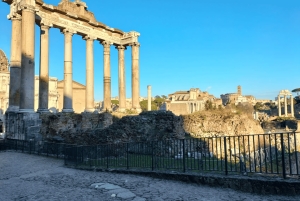 Rome : visite privative du Forum romain et du Mont Palatin