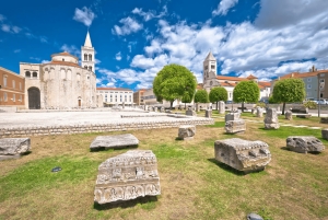 Rome : visite privative du Forum romain et du Mont Palatin