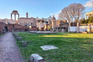 Rome : visite privative du Forum romain et du Mont Palatin