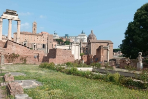 Rooma: Rooman foorumin myytit ja legendat -yksityinen opastettu kierros