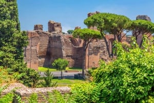 Roma: tour a pie por el Foro Romano con ticket de entrada incluido