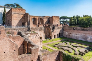 Roma: Recorrido por las plazas romanas con el Coliseo y el Foro Romano