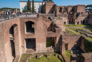 Roma: Recorrido por las plazas romanas con el Coliseo y el Foro Romano