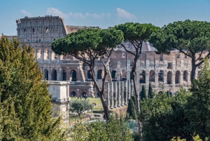 Roma: Recorrido por las plazas romanas con el Coliseo y el Foro Romano