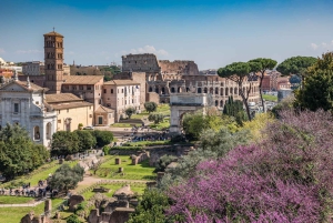 Roma: Recorrido por las plazas romanas con el Coliseo y el Foro Romano