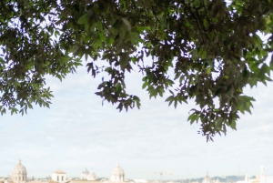 Rome : Séance photo pour une demande en mariage romantique