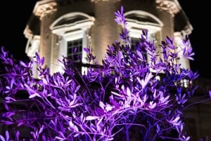 Roma: Santa Maria Maggiore Zonas superiores Ticket de entrada sin colas