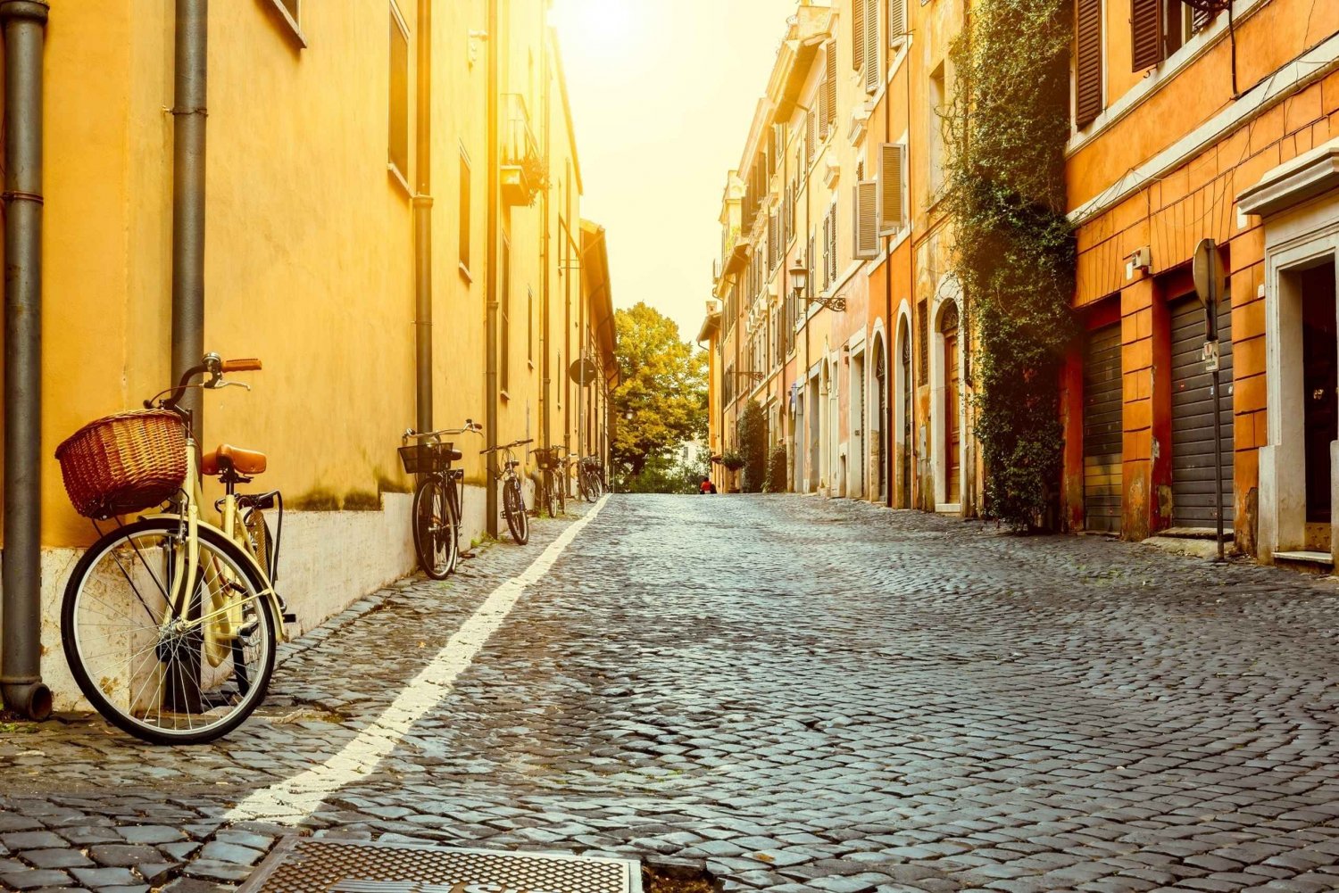 Rome: Sightseeing at Sunrise Walking Tour & Private Option