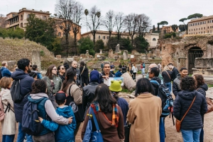 Rome: Colosseum, Forum & Palatine Tour + Arena Option