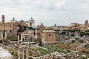 Rome: Colosseum, Forum & Palatine Tour + Arena Option