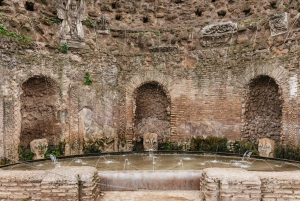 Rome: Colosseum, Forum & Palatine Tour + Arena Option